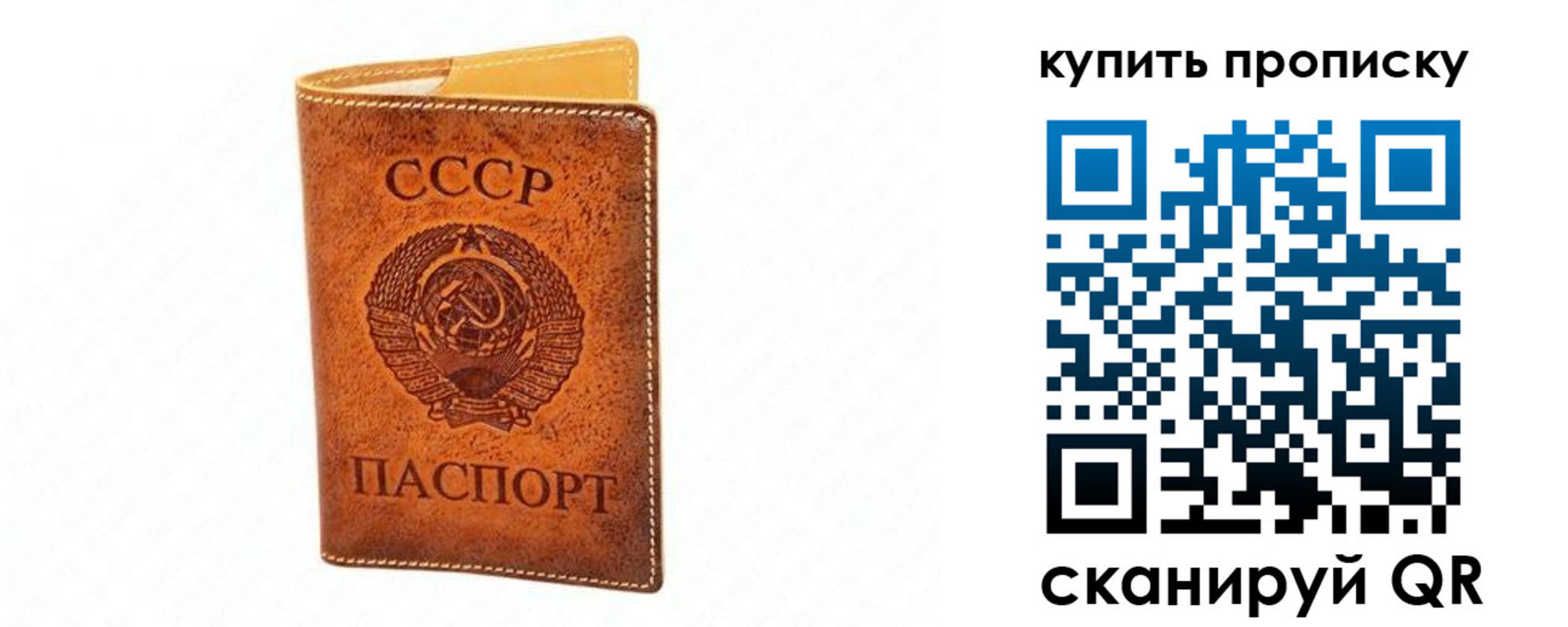 прописка поиск в Сураже