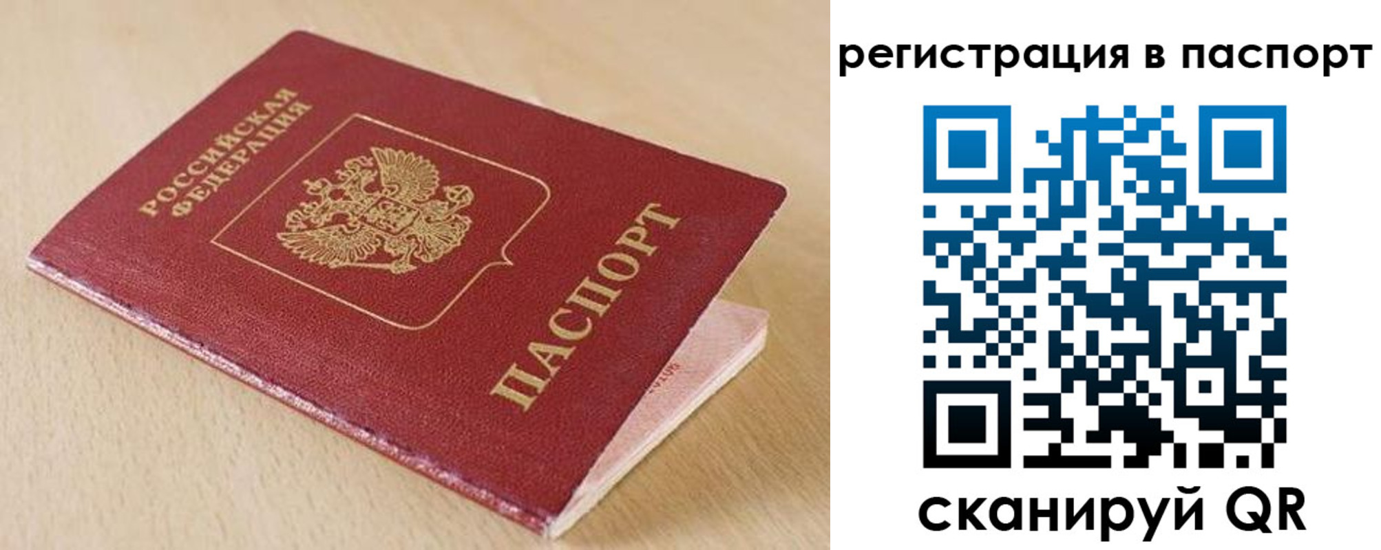 прописка поиск в Сураже